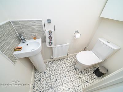 Picture 15
